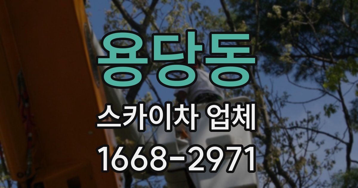용당동 스카이차 업체