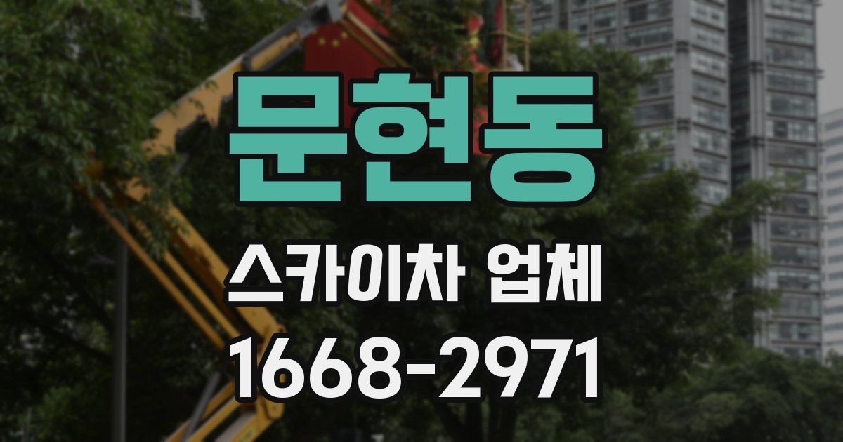 문현동 스카이차 업체