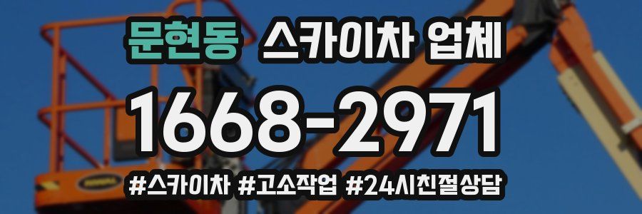 문현동 스카이차 업체