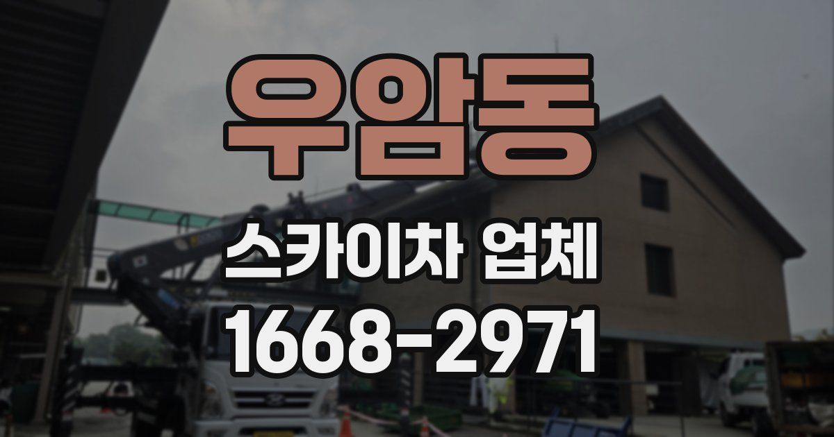 우암동 스카이차 업체