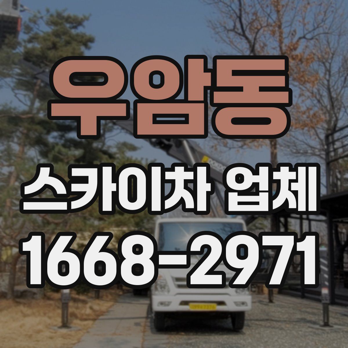 우암동 스카이차 업체