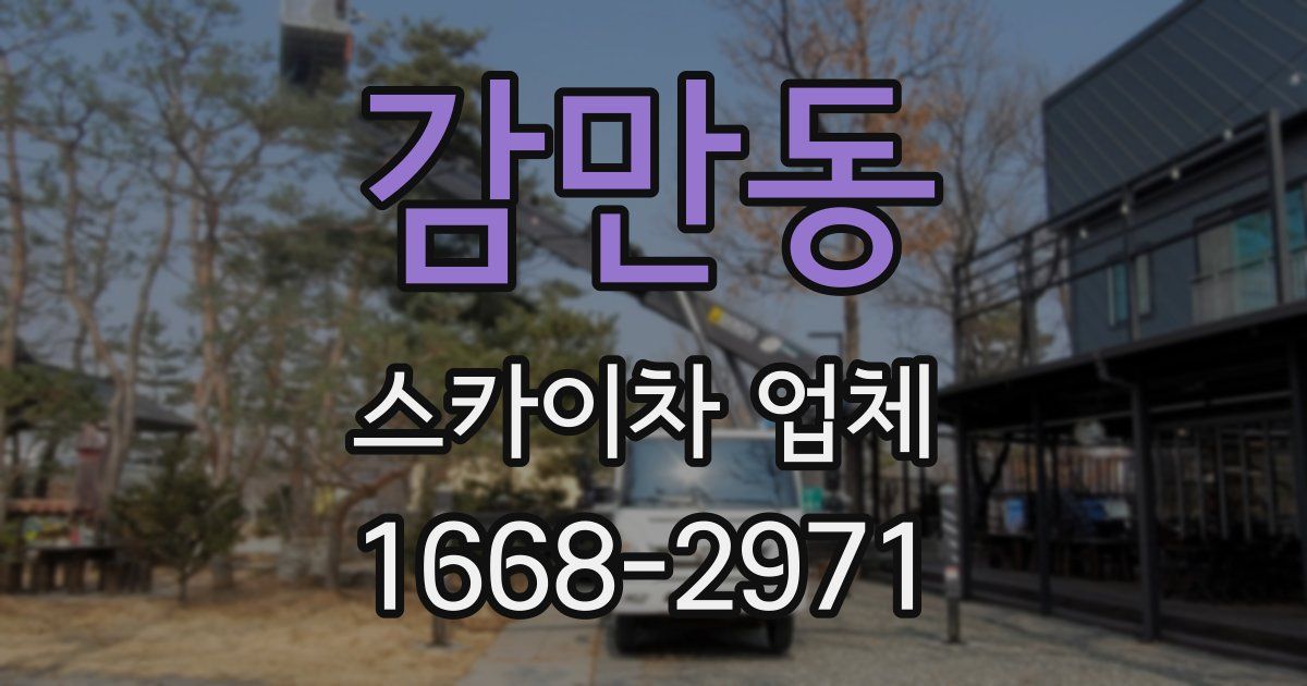 감만동 스카이차 업체
