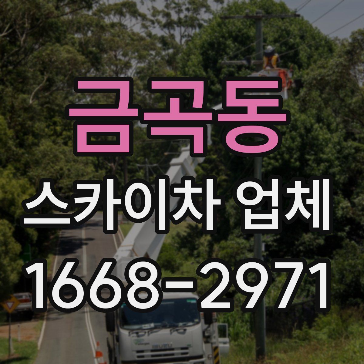 금곡동 스카이차 업체