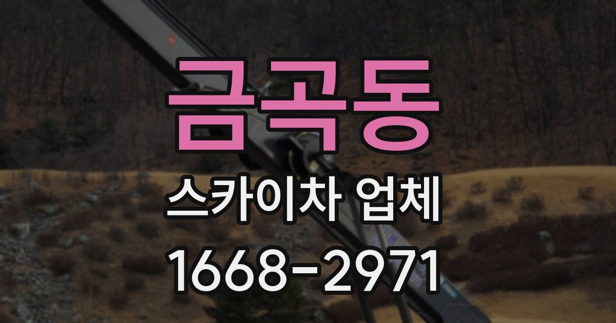 금곡동 스카이차 업체