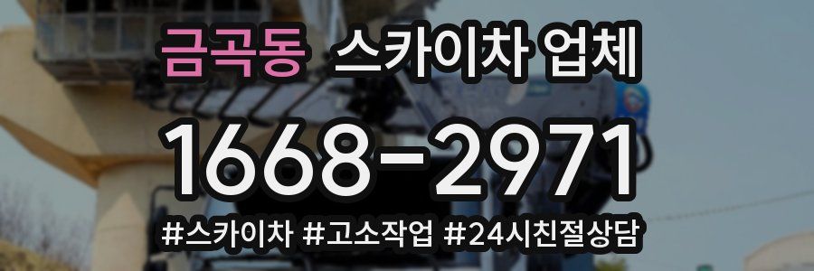 금곡동 스카이차 업체