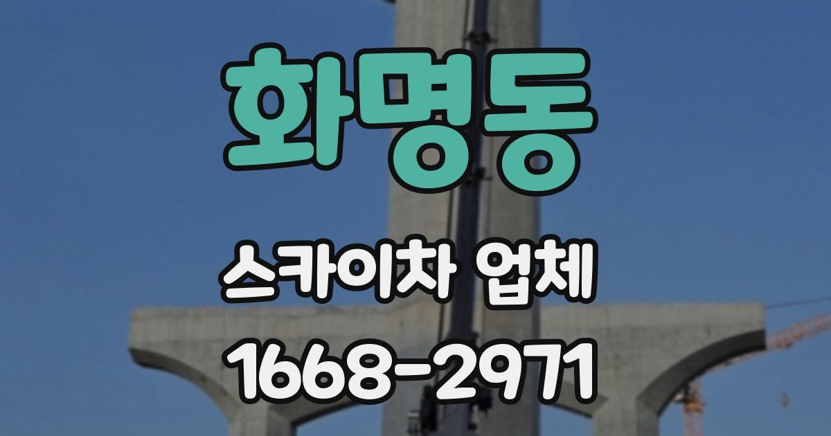 화명동 스카이차 업체