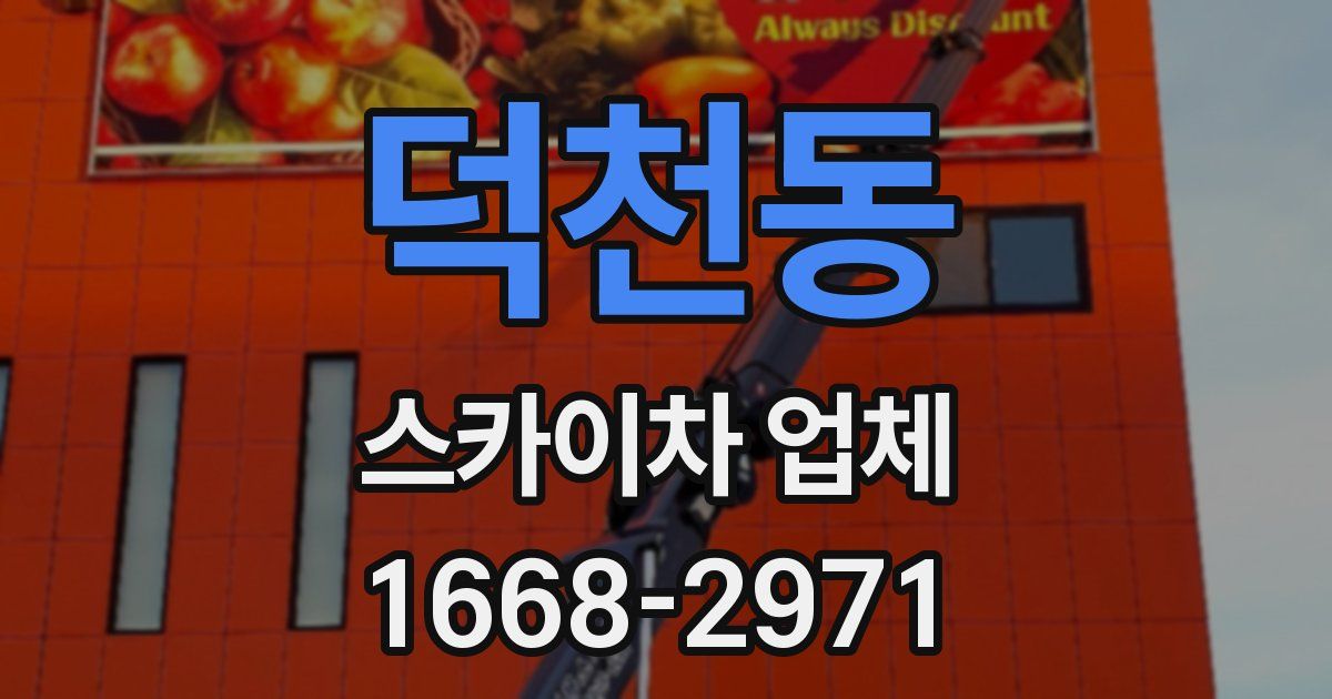 덕천동 스카이차 업체
