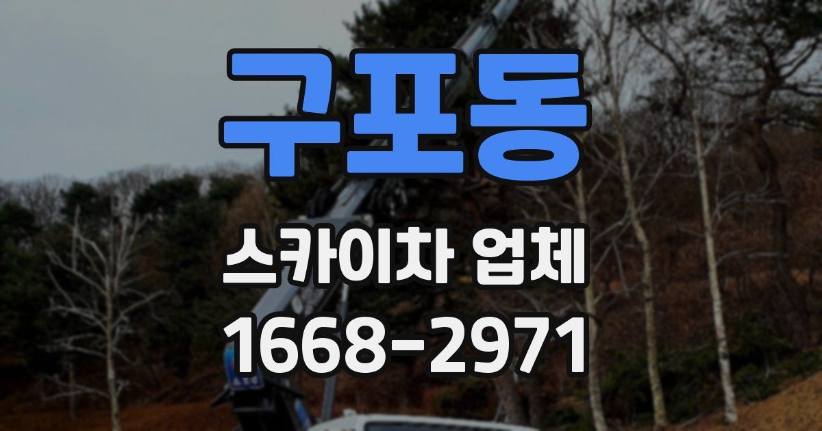 구포동 스카이차 업체
