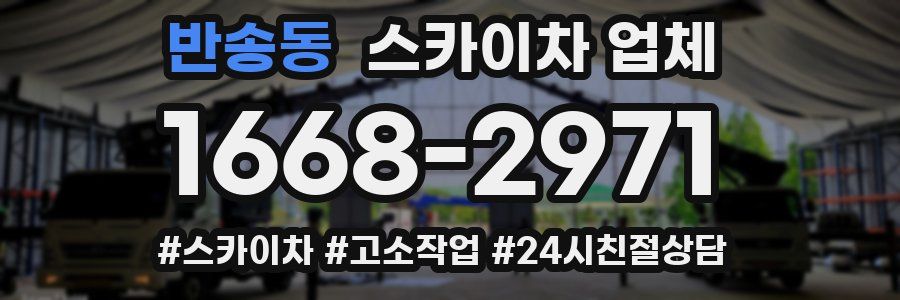 반송동 스카이차 업체
