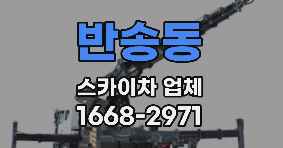 반송동 스카이차 업체
