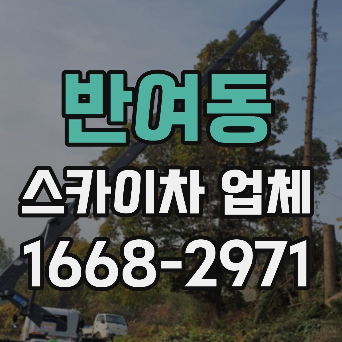 반여동 스카이차 업체