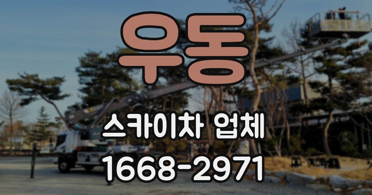 우동 스카이차 업체