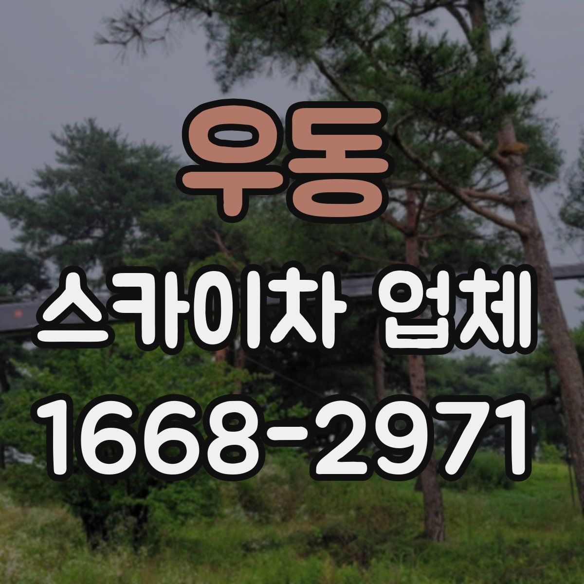 우동 스카이차 업체