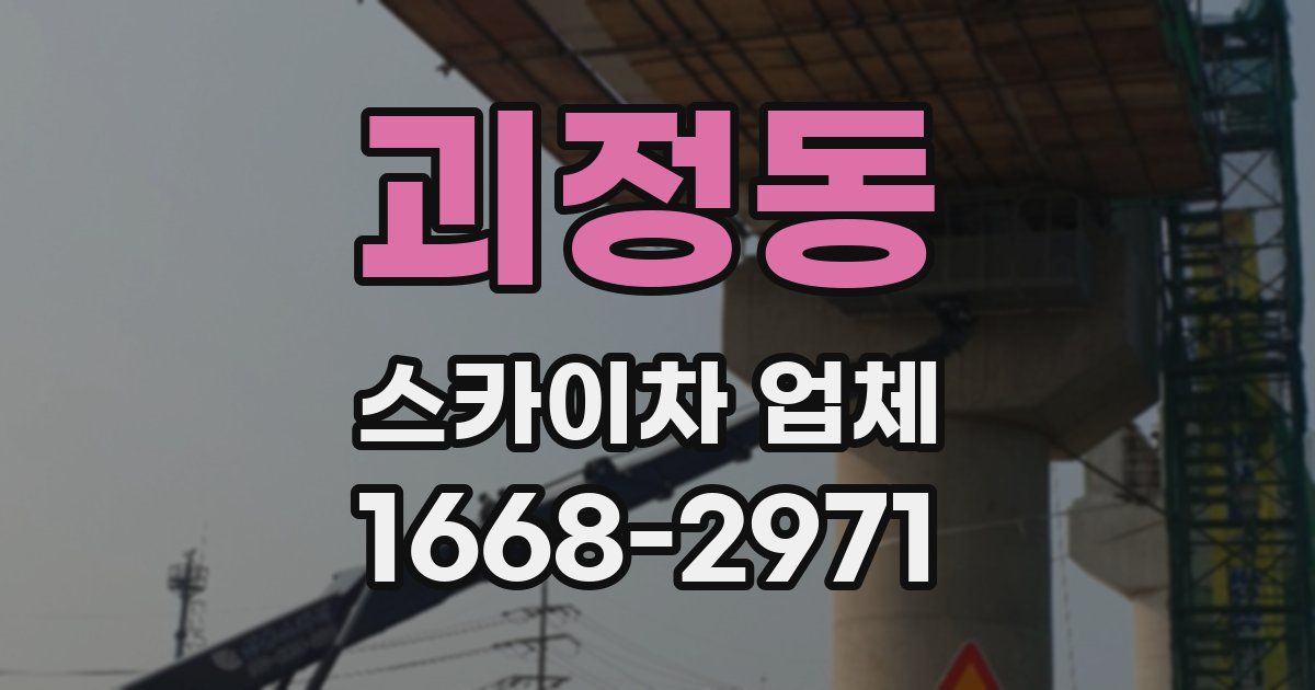 괴정동 스카이차 업체
