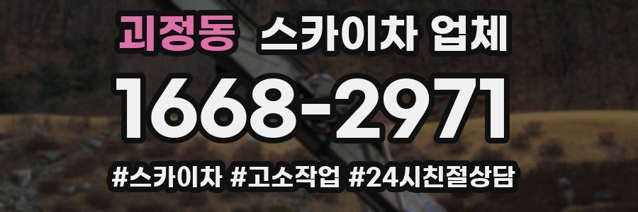 괴정동 스카이차 업체