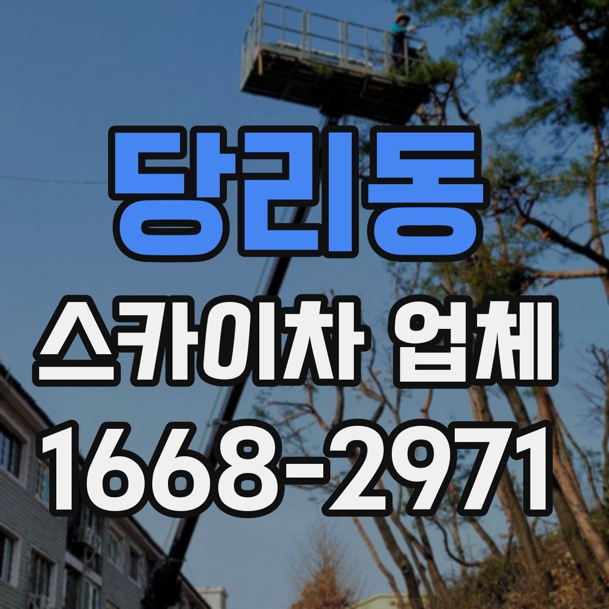 당리동 스카이차 업체