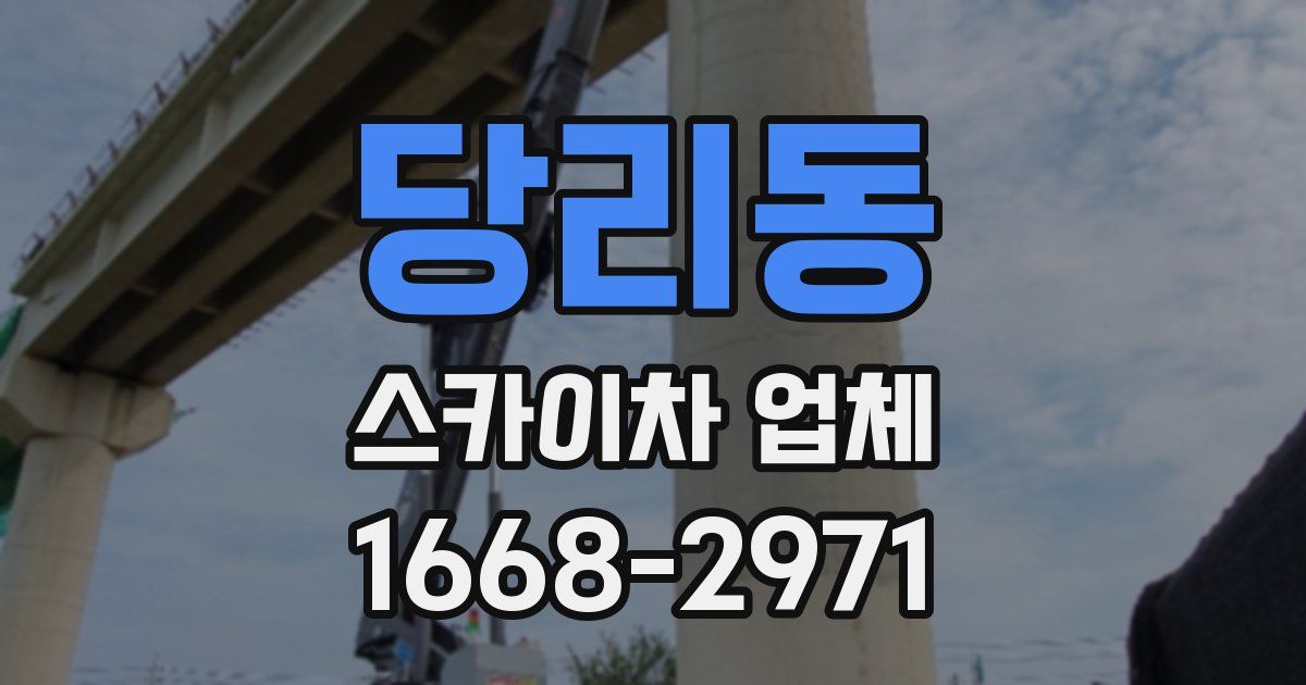 당리동 스카이차 업체