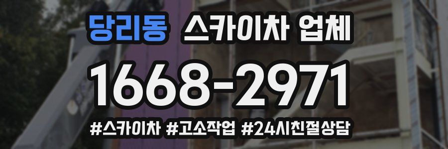 당리동 스카이차 업체
