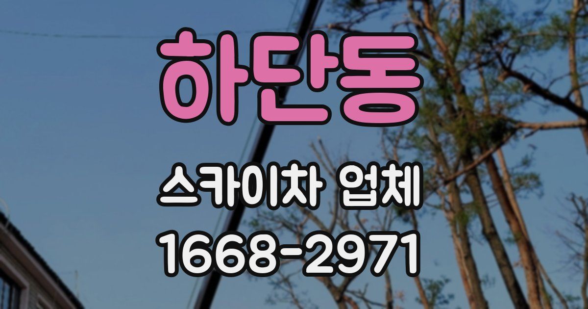 하단동 스카이차 업체