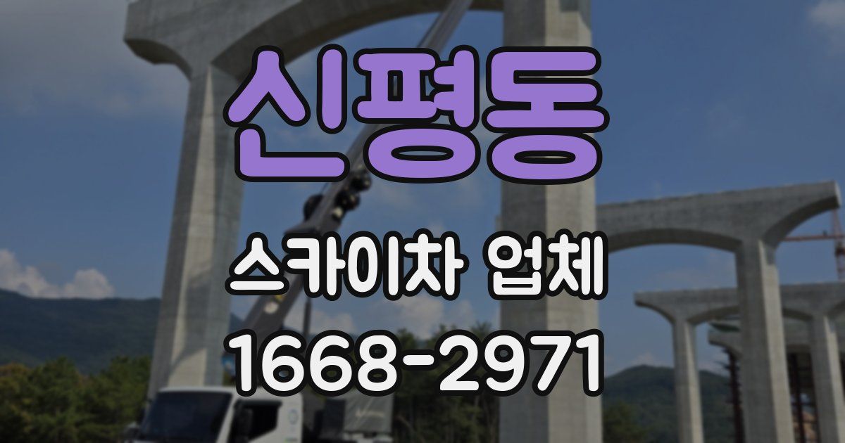 신평동 스카이차 업체
