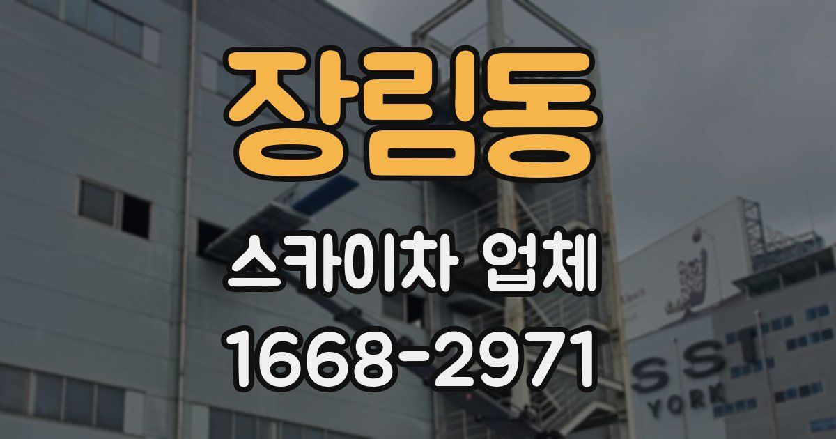 장림동 스카이차 업체