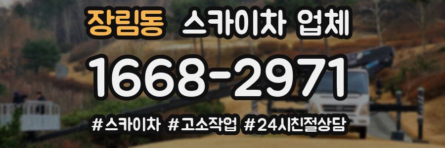 장림동 스카이차 업체