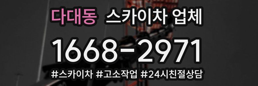다대동 스카이차 업체