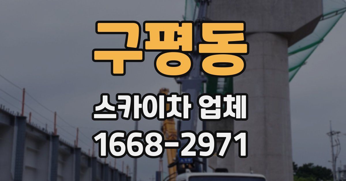 구평동 스카이차 업체