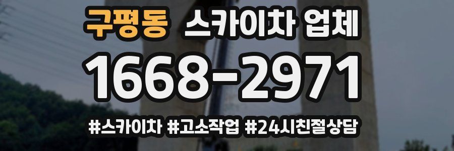 구평동 스카이차 업체