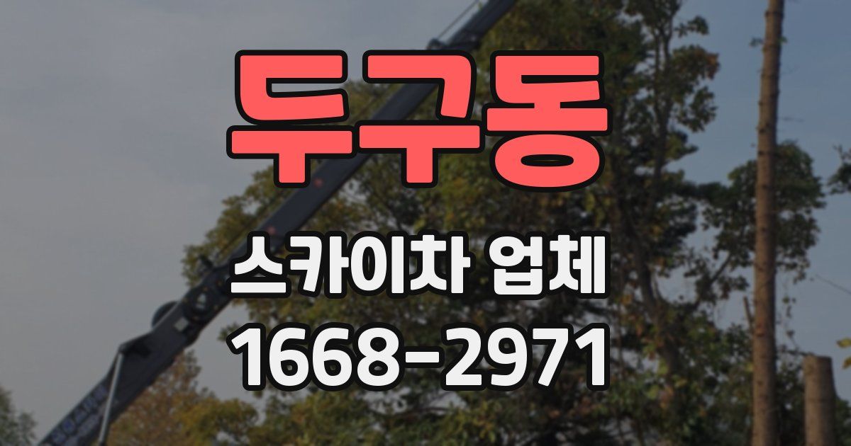 두구동 스카이차 업체