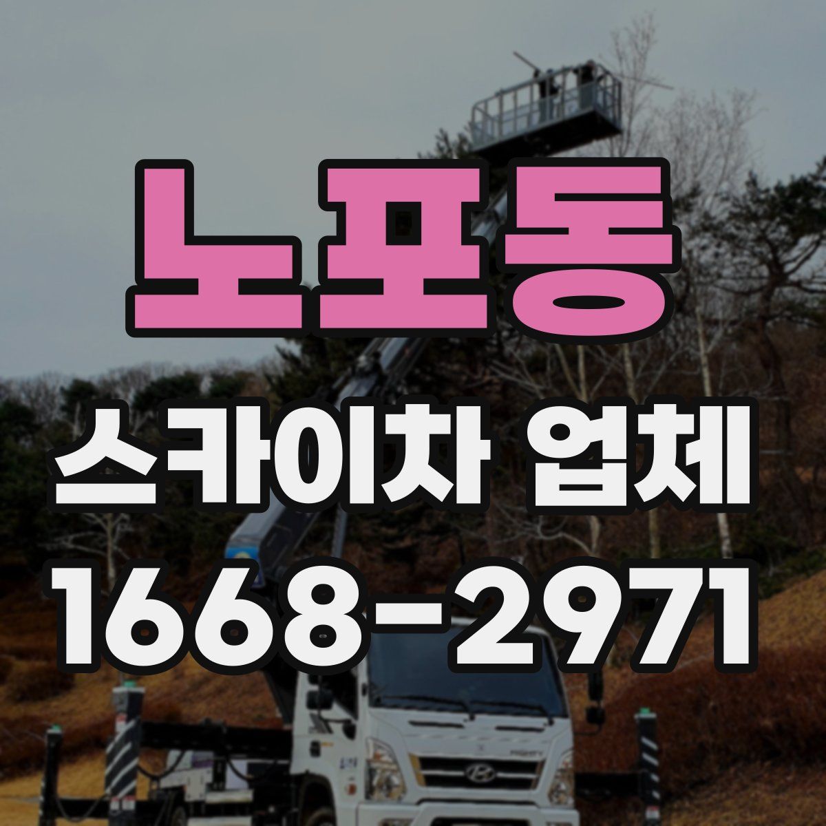 노포동 스카이차 업체