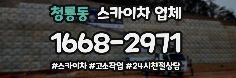 청룡동 스카이차 업체