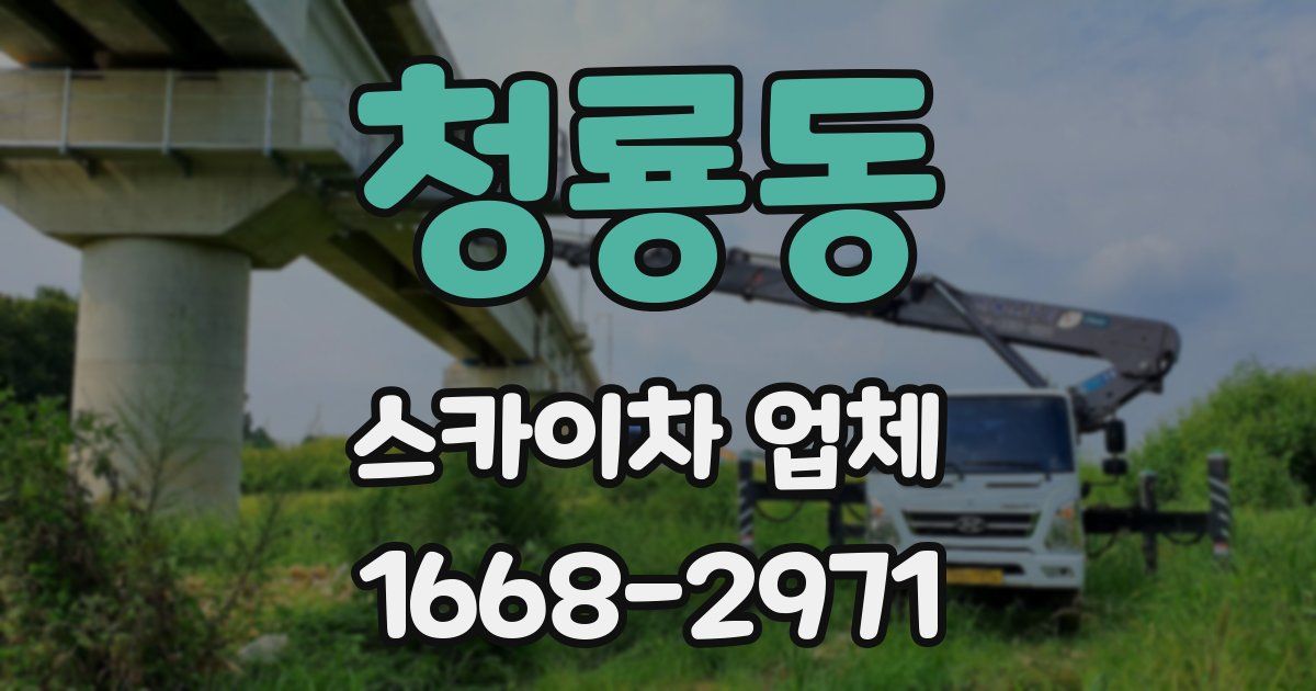 청룡동 스카이차 업체