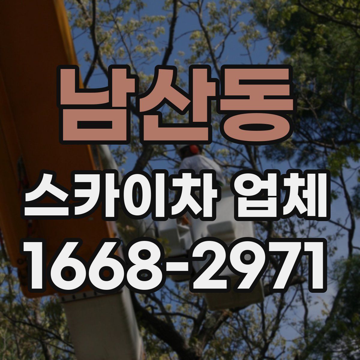 남산동 스카이차 업체