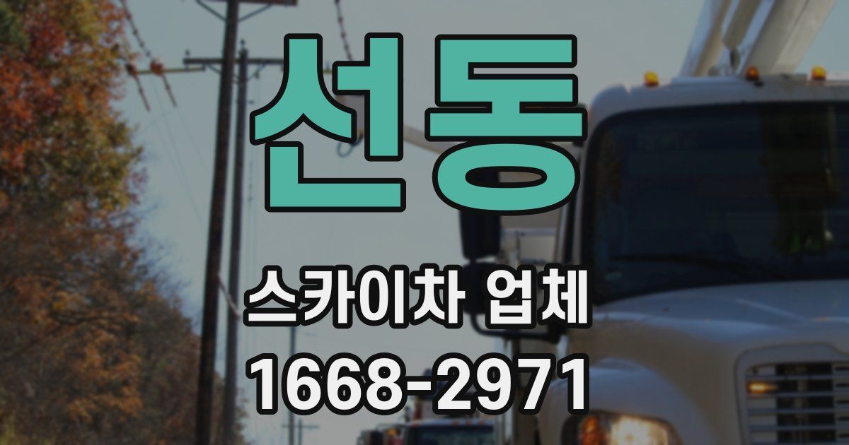 선동 스카이차 업체