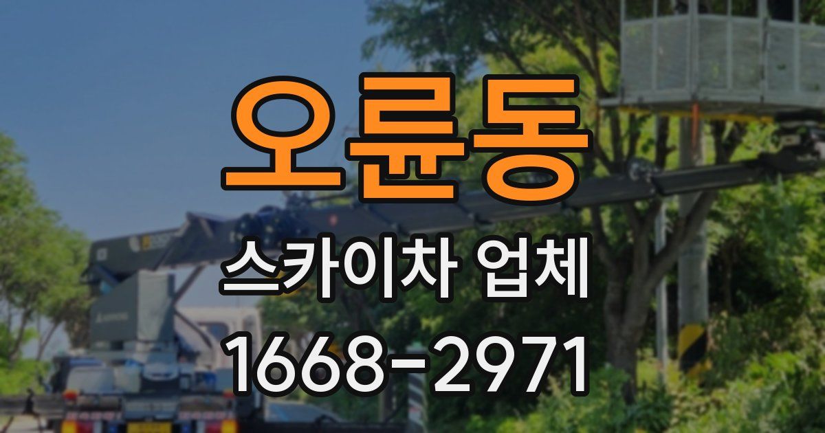 오륜동 스카이차 업체