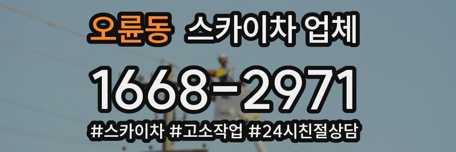 오륜동 스카이차 업체