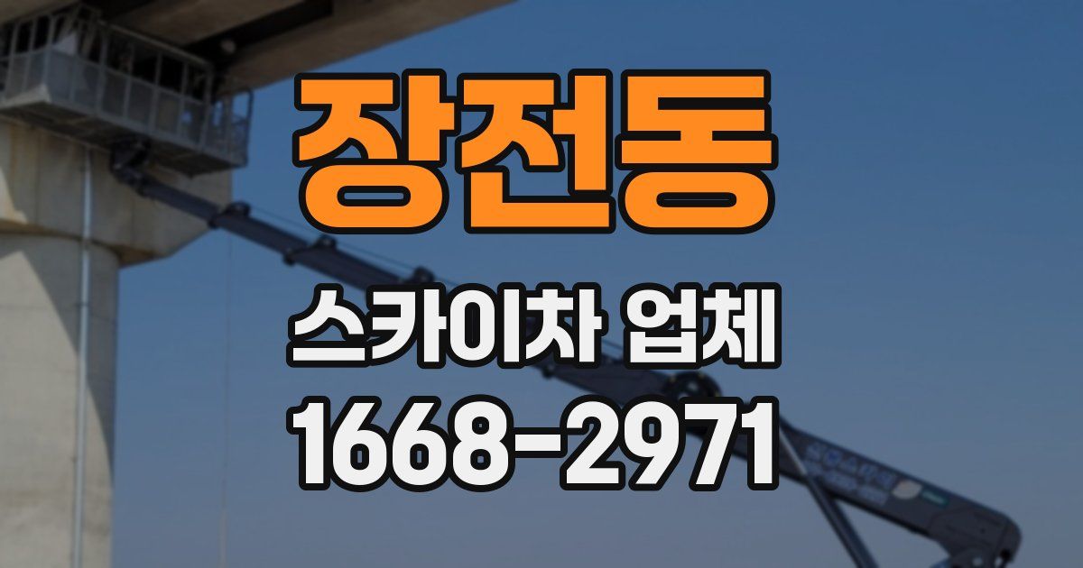 장전동 스카이차 업체