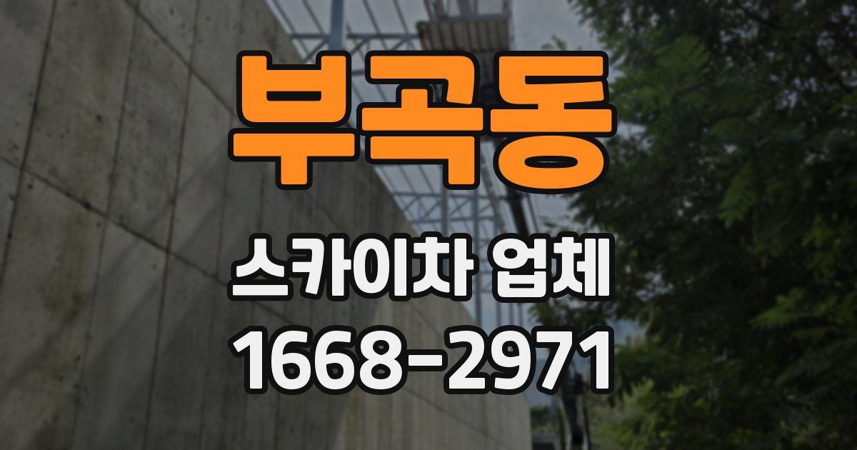 부곡동 스카이차 업체