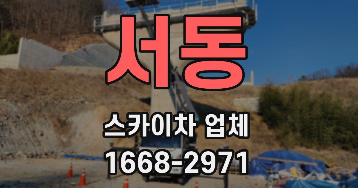 서동 스카이차 업체