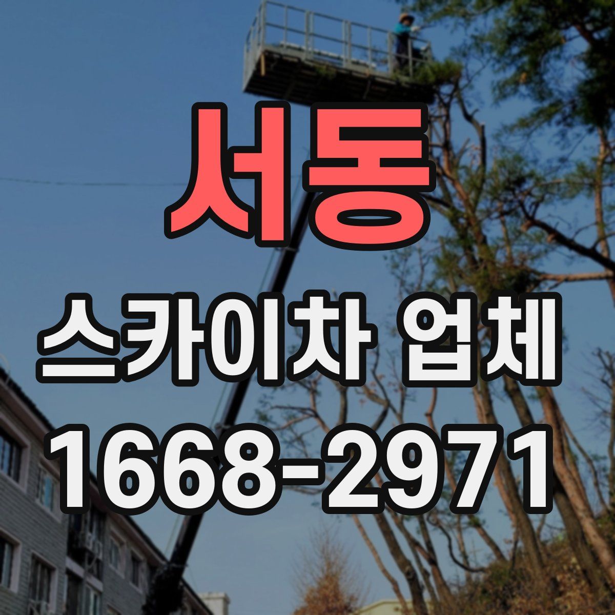 서동 스카이차 업체