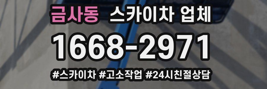 금사동 스카이차 업체
