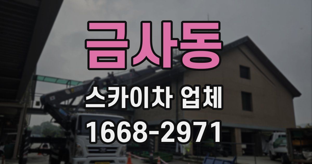 금사동 스카이차 업체