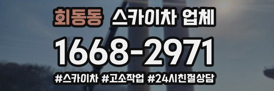 회동동 스카이차 업체