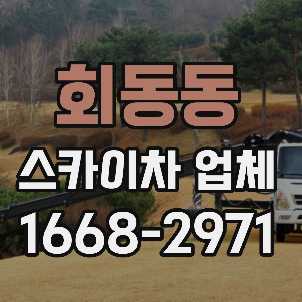회동동 스카이차 업체