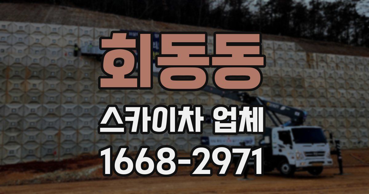 회동동 스카이차 업체