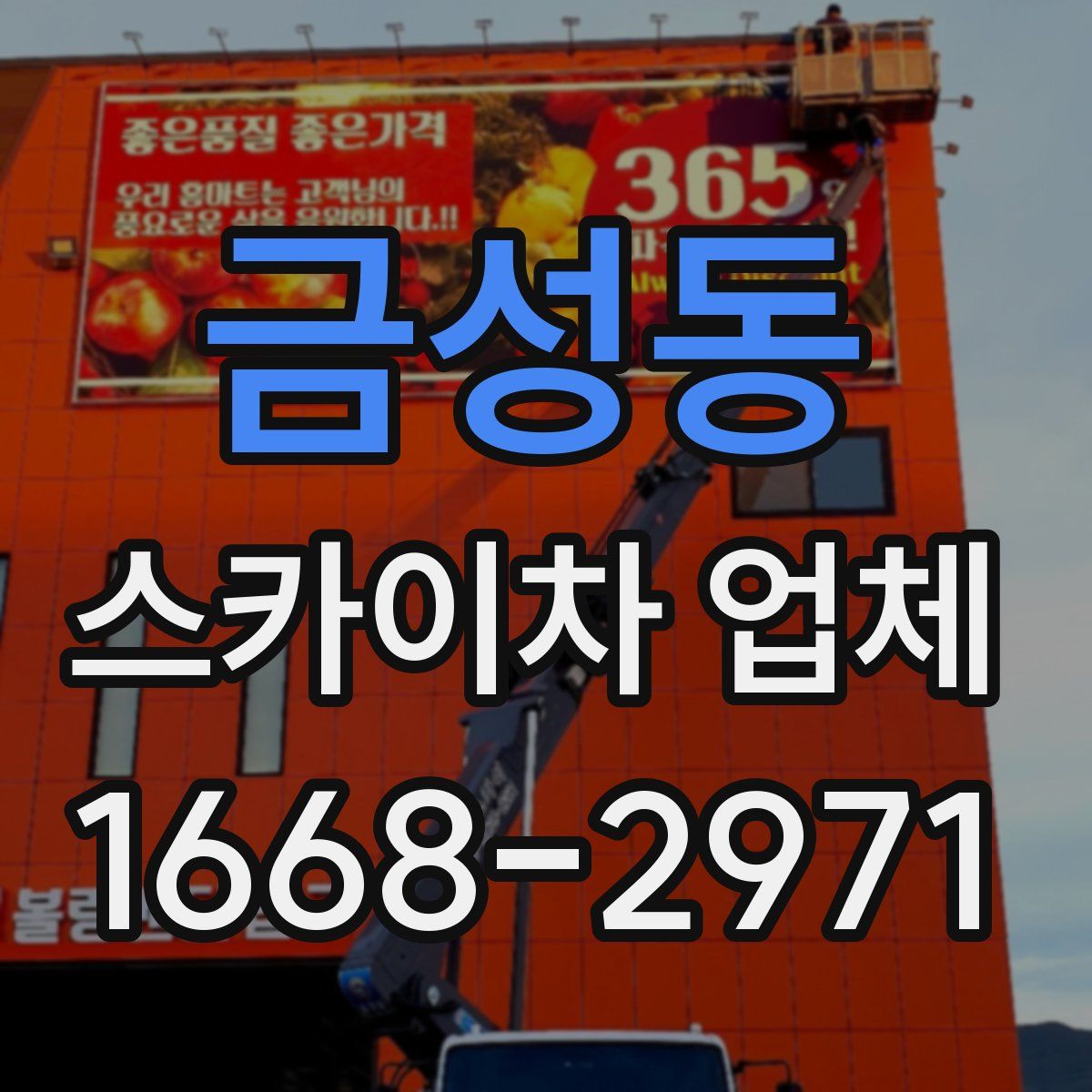 금성동 스카이차 업체
