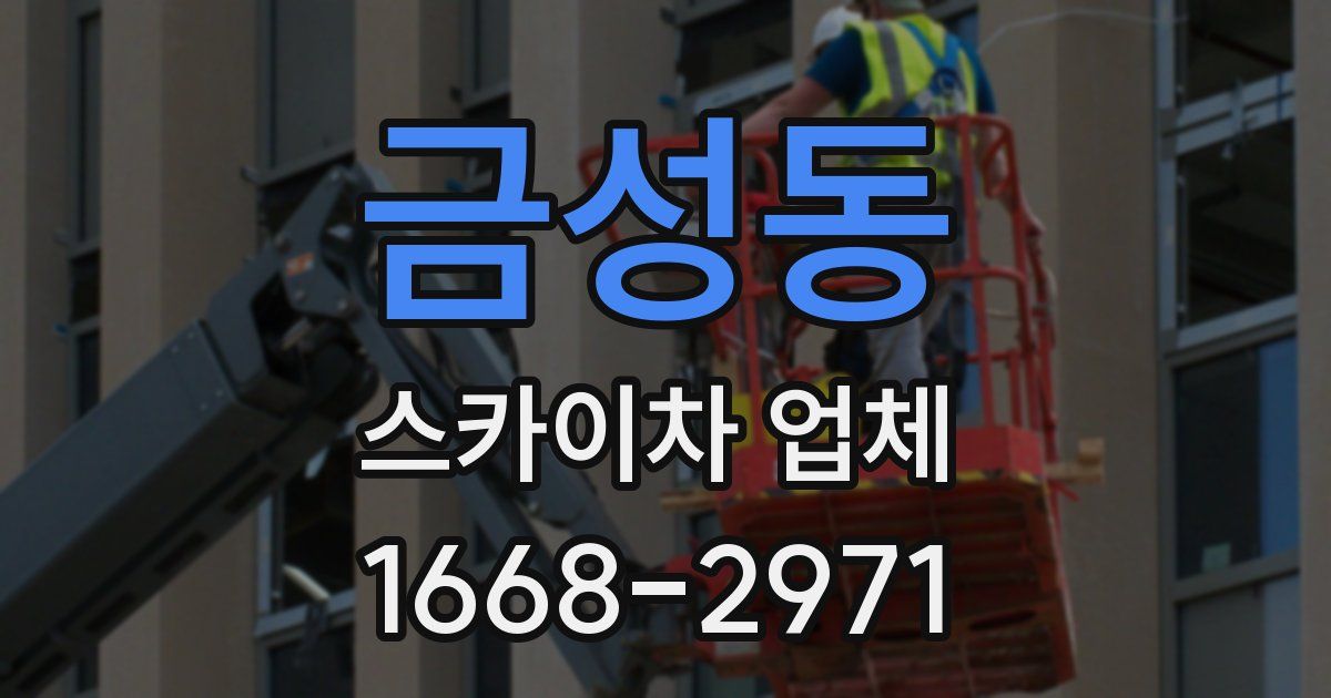 금성동 스카이차 업체