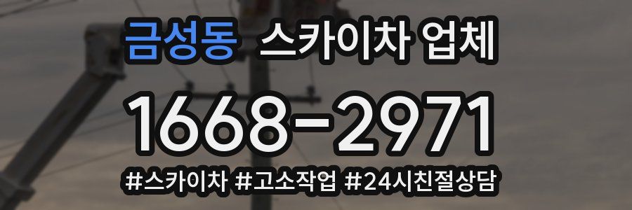 금성동 스카이차 업체