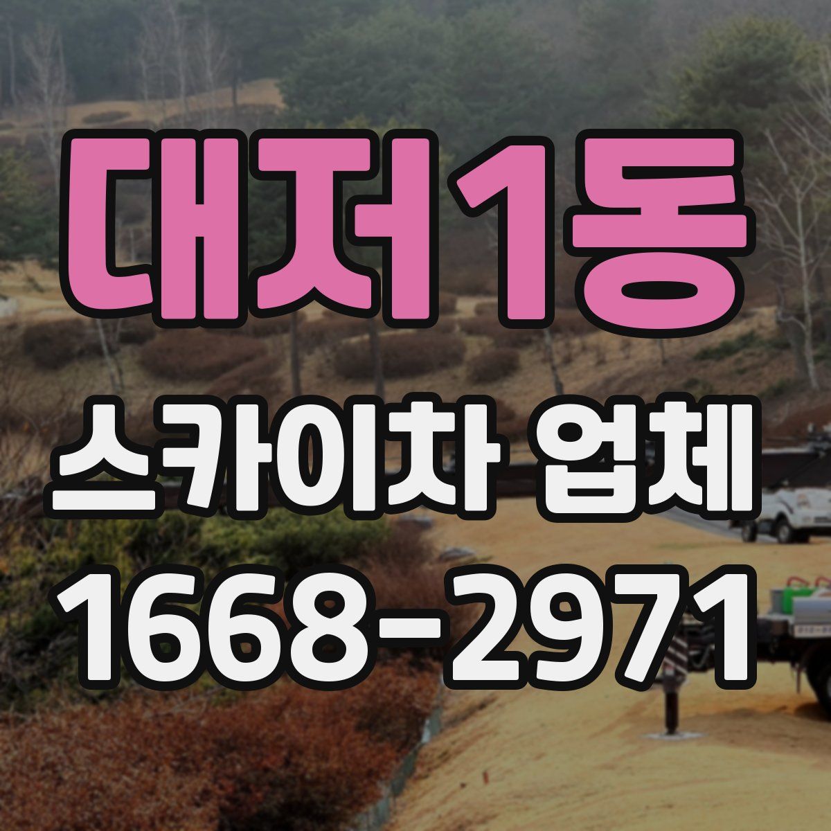 대저1동 스카이차 업체